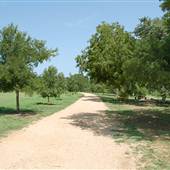 Pease District Park (Pease Park Conservancy)