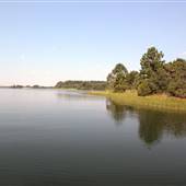 Lost Pines Scout Reservation