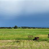 Snake Prairie