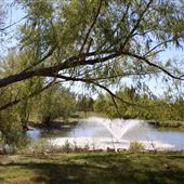 East Metropolitan Park (Travis County Parks)