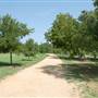 Pease District Park (Pease Park Conservancy)