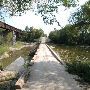 Onion Creek at CR 236