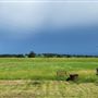 Snake Prairie