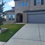 Leadtree Loop Home