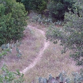 Blunn Creek Nature Preserve	(Austin Parks & Recreation Department)
