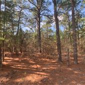 Best Little Cabin in Texas