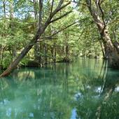 Blue Hole Regional Park (Wimberley Parks & Recreation Department)