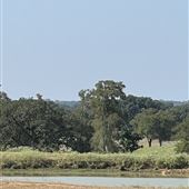Camp Willenberg