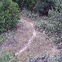 Blunn Creek Nature Preserve	(Austin Parks & Recreation Department)