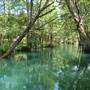 Blue Hole Regional Park (Wimberley Parks & Recreation Department)