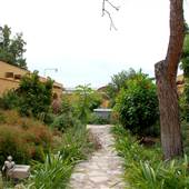 Fiesta Gardens (Austin Parks & Recreation Department)