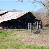 Lee County Farm