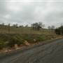 McDade - Farmland