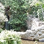 Zilker Botanical Garden (Austin Parks & Recreation Department)