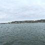Lake Travis (LCRA)