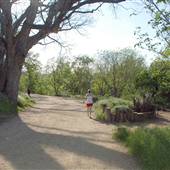 Hike & Bike Trail at Lady Bird Lake (Austin Parks & Recreation Department)