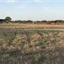 Willenberg Ranch