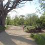 Hike & Bike Trail at Lady Bird Lake (Austin Parks & Recreation Department)