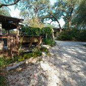 Hill Country Orchard