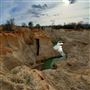 Salvage, Texas