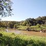 Eugene Reimers Ranch - Pedernales River (Travis County Parks)