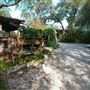 Hill Country Orchard