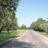 Hel Kat Road