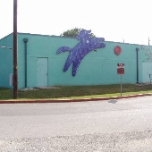 Town Lake Animal Shelter