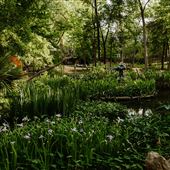 UMLAUF Sculpture Garden + Museum