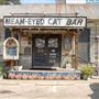 Mean Eyed Cat