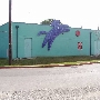 Town Lake Animal Shelter