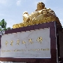 The International Buddhist Progress Society