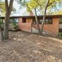 Hyde Park Mid-Century Modern