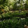 UMLAUF Sculpture Garden + Museum