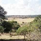Eugene Reimers Ranch (Travis County Parks)