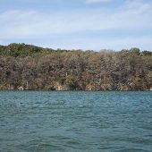Pace Bend Park - Lake Travis (Travis County Parks)