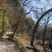 Milton Reimers Ranch Park (Travis County Parks)