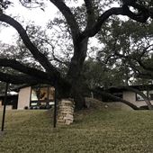 Ridge Oak MidCentury Bungalow