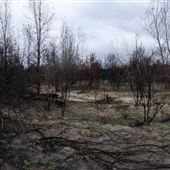 Blakely Fire Damaged Property