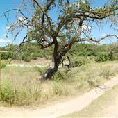Milton Reimers Ranch Park (Travis County Parks)