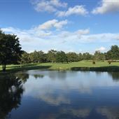 HorseLink Farm