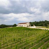 Villa at the Vineyard