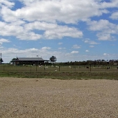 Prairie Dell