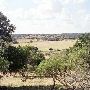 Eugene Reimers Ranch (Travis County Parks)