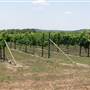 Duchman Family Winery