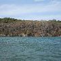 Pace Bend Park - Lake Travis (Travis County Parks)