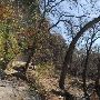 Milton Reimers Ranch Park (Travis County Parks)