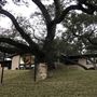 Ridge Oak MidCentury Bungalow