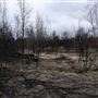 Blakely Fire Damaged Property