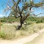 Milton Reimers Ranch Park (Travis County Parks)